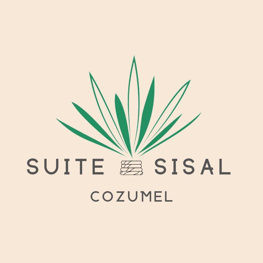 Brand New Condo With Rooftop Pool 科苏梅尔 外观 照片